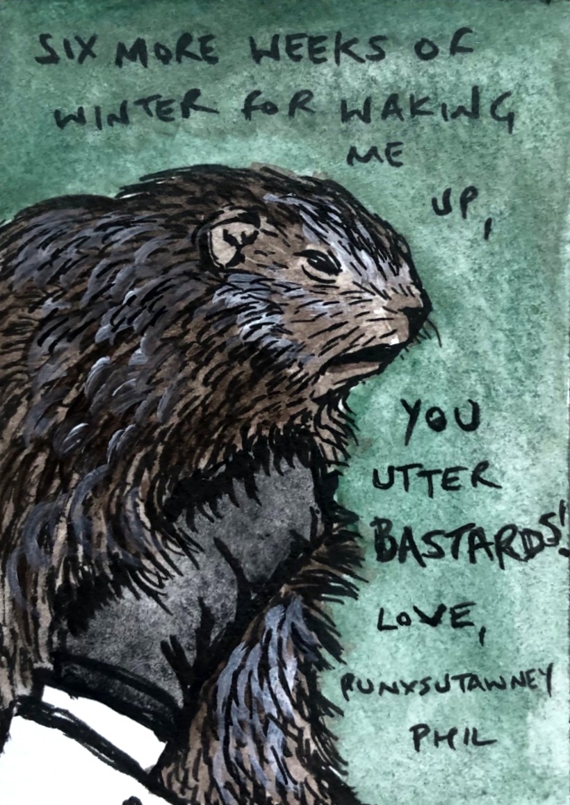 An illustration of Punxsutawney Phil the Groundhog being held up and looking disgruntled.