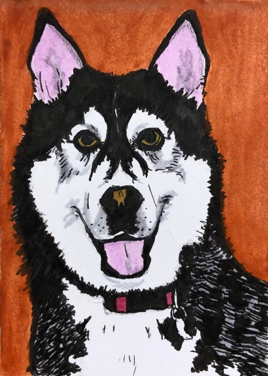 An illustration of a random black dog found on Reddit.