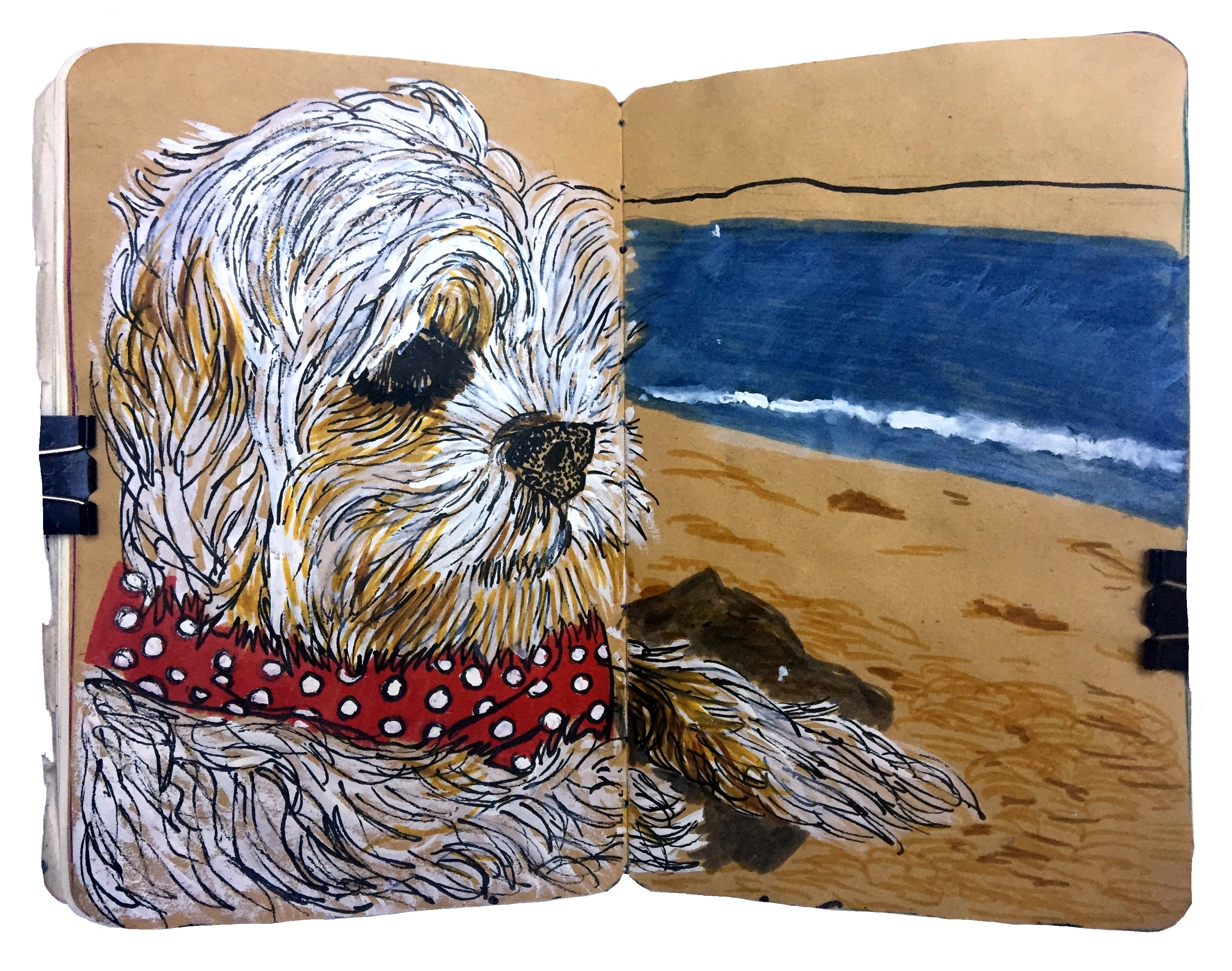 Day 244/365 of Year of Creative Habits. A mixed media art journal pet portrait of a shaggy dog on a beach.