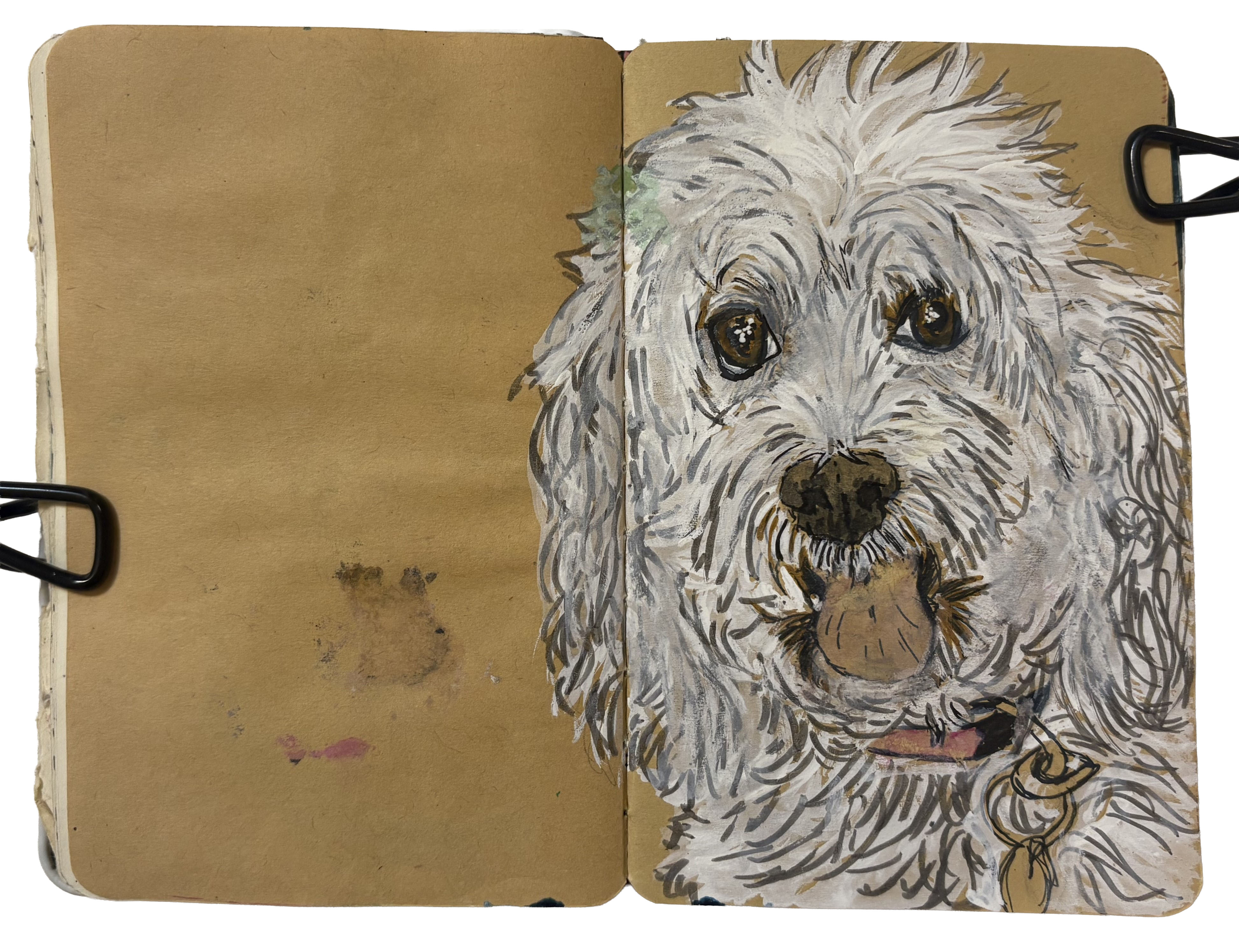 An art journal illustration of a fluffy white dog with their tongue out.