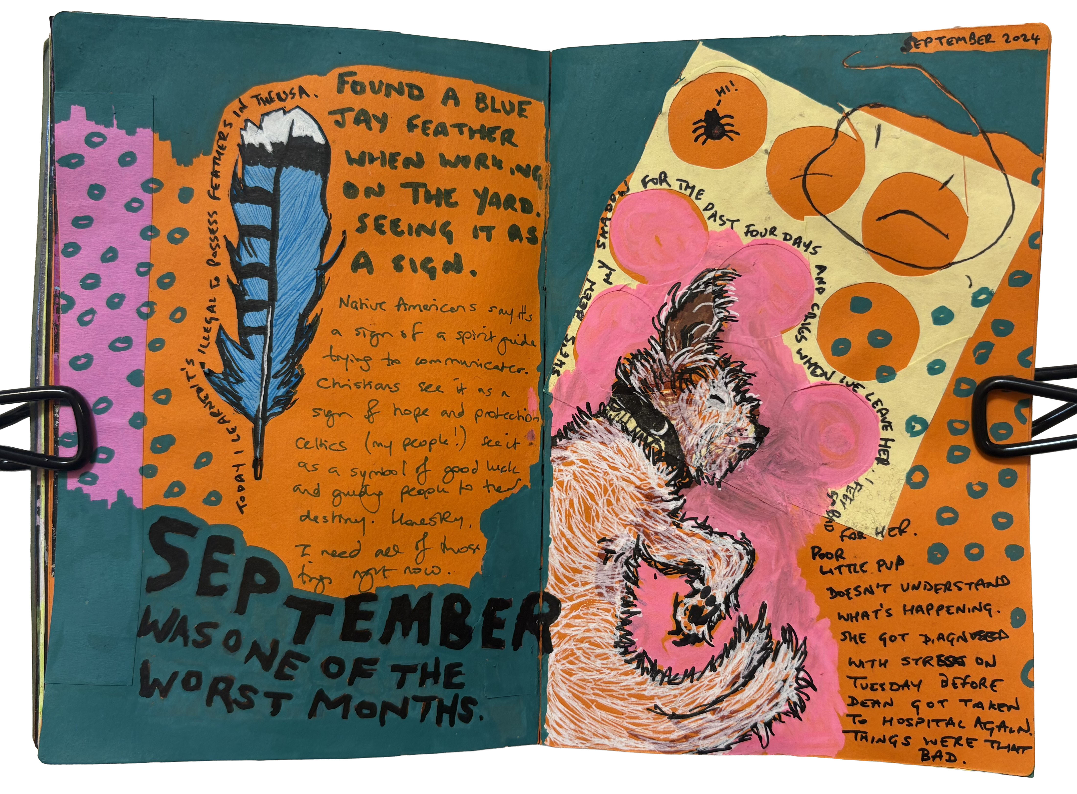A mixed media art journal page with illustrations of a blue jay feather and a sleeping dog. There is handwriting about it being the worst month and doodles surrounding the drawings.